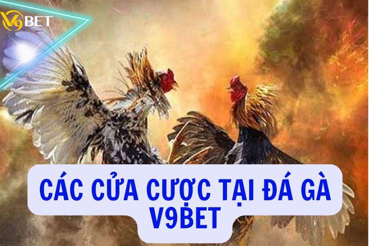 Các cửa cược tại trò chơi đá gà online
