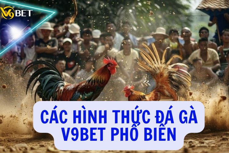 Các hình thức đá gà V9BET phổ biến