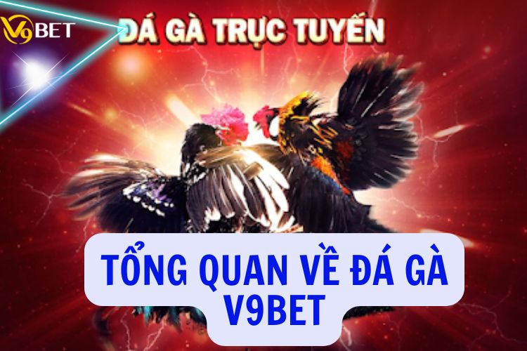 Tổng quan về đá gà V9BET
